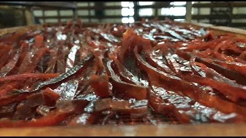 Камера для быстрого вяления (сушки) рыбы, мяса, рыбных палочек и снеков от ПОС. Автомат 100%.