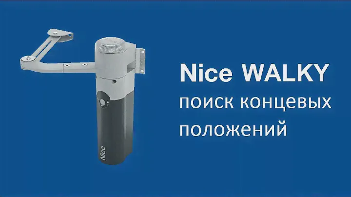 Nice Walky.  Поиск концевых положений